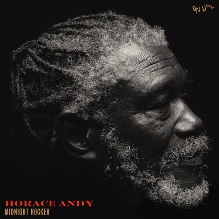 Horace Andy — Midnight Rocker