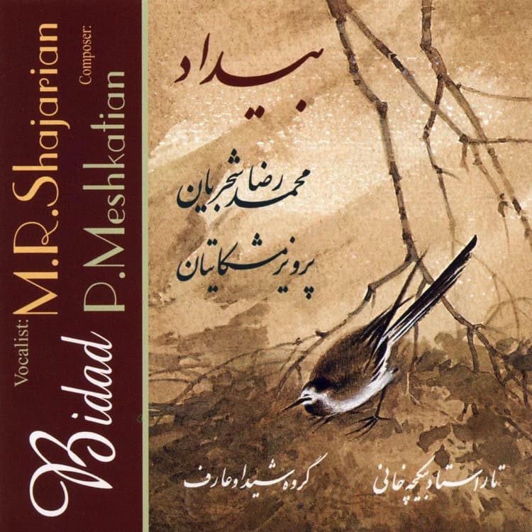 Parviz Meshkatian & Mohammad Reza Shajarian — Bidad