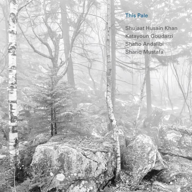 Shujaat Khan & Katayoun Goudarzi — This Pale