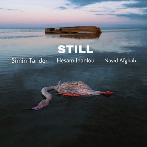 Simin Tander, Hesam Inanlou & Navid Afghah — Still