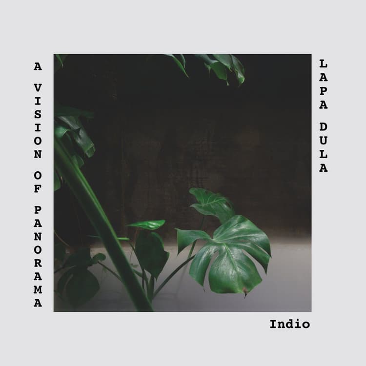 A Vision of Panorama — Indio
