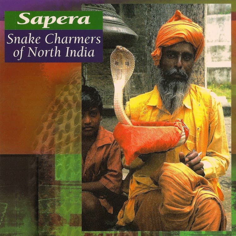 Jodha, Patu, Prakas Nath, Rohotas & Sunil — Sapera Snake Charmers of North India