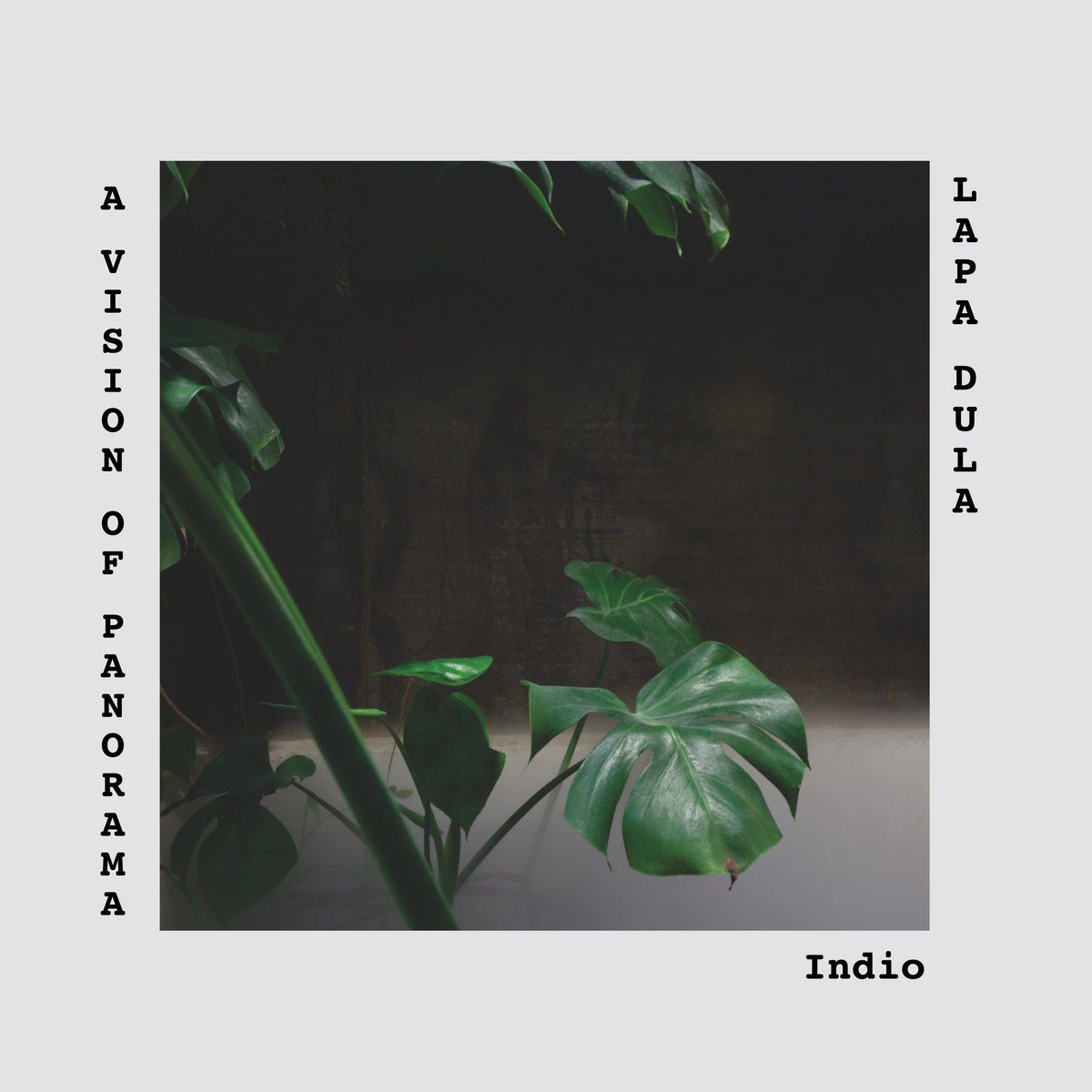 Indio cover