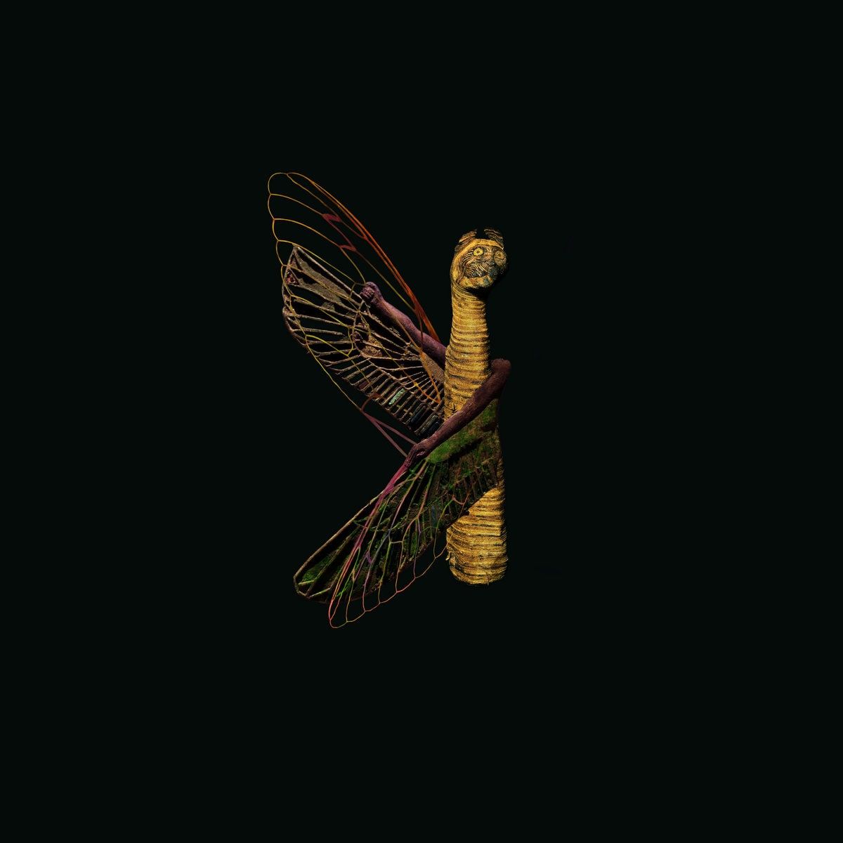 Saet El Hazz cover